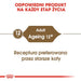 ROYAL CANIN FHN Ageing 12 + в желе - мокра храна за котки