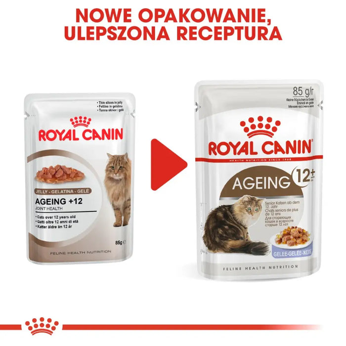 ROYAL CANIN FHN Ageing 12 + в желе - мокра храна за котки