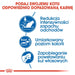 Royal Canin FHN Indoor - суха храна за възрастни котки - 4кг