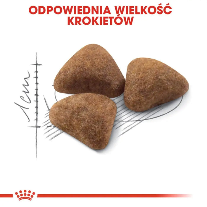 Royal Canin FHN Indoor - суха храна за възрастни котки - 4кг