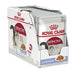 ROYAL CANIN FHN Instinctive в желе - мокра храна