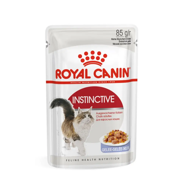ROYAL CANIN FHN Instinctive в желе - мокра храна