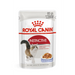 ROYAL CANIN FHN Instinctive в желе - мокра храна