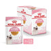 Royal Canin FHN Kitten Instinctive в сос - мокра храна
