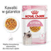 Royal Canin FHN Kitten Instinctive в желе - мокра храна