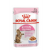 ROYAL CANIN FHN Kitten Sterilised - Мокра храна за котки