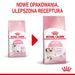 Royal Canin FHN Kitten - суха храна за котенца - 4 кг