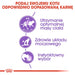 ROYAL CANIN FHN Sterilised in sauce - мокра храна