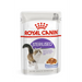 ROYAL CANIN FHN Sterilised in sauce - мокра храна