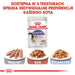 ROYAL CANIN FHN Sterilised in sauce - мокра храна