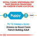 ROYAL CANIN French Bulldog Puppy - суха храна за кучета - 3