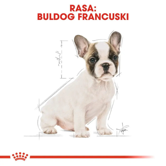 ROYAL CANIN French Bulldog Puppy - суха храна за кучета - 3