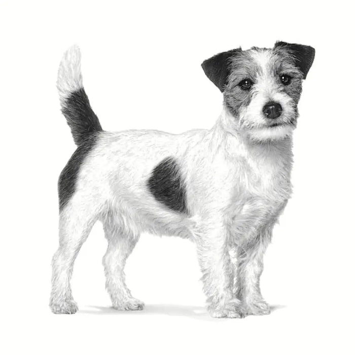 ROYAL CANIN Gastrointestinal Low Fat Small VHN - суха храна