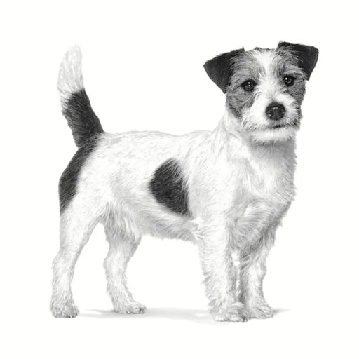ROYAL CANIN Gastrointestinal Low Fat Small VHN - суха храна