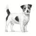 ROYAL CANIN Gastrointestinal Low Fat Small VHN - суха храна