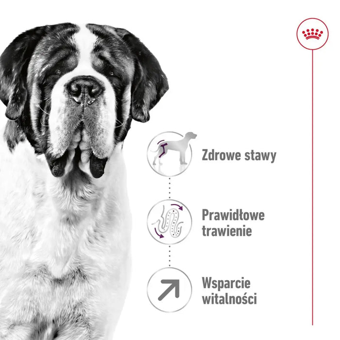 ROYAL CANIN Giant Adult - суха храна за кучета - 15 кг
