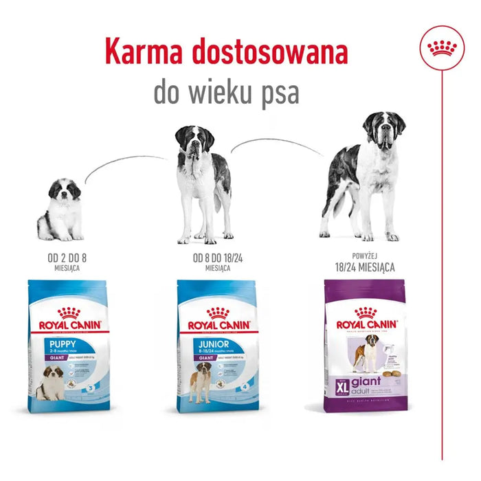 ROYAL CANIN Giant Adult - суха храна за кучета - 15 кг
