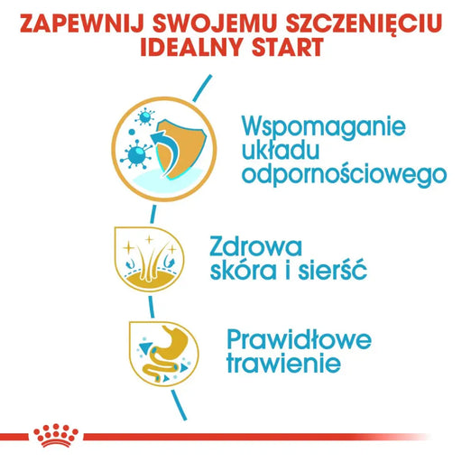 ROYAL CANIN Golden Retriever Puppy суха храна за кучета 12