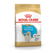 ROYAL CANIN Golden Retriever Puppy суха храна за кучета 12