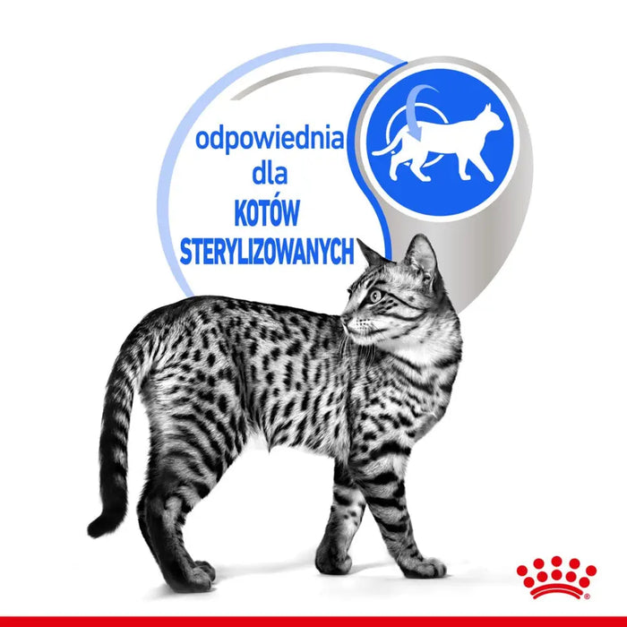 ROYAL CANIN Indoor Sterilised - Мокра храна за възрастни