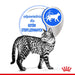 ROYAL CANIN Indoor Sterilised - Мокра храна за възрастни
