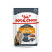 ROYAL CANIN Intense Beauty Мокра храна за котки Chunks in