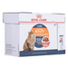 ROYAL CANIN Intense Beauty Мокра храна за котки Chunks in