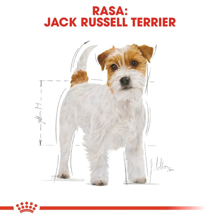 ROYAL CANIN Jack Russell Adult суха храна за кучета - 1,5 кг