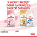 Royal Canin Kitten Суха храна за стерилизирани котки 3,5 кг
