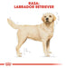 ROYAL CANIN Labrador Adult - суха храна за кучета - 12 кг