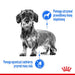 ROYAL CANIN Light Weight Care Мокра храна за кучета Pâté