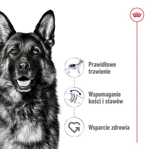 ROYAL CANIN Maxi Adult - суха храна за кучета - 15 кг