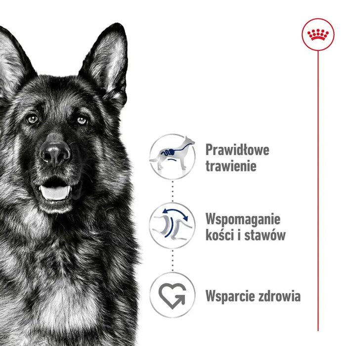 ROYAL CANIN Maxi Adult - суха храна за кучета - 15 кг