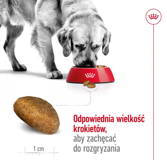 ROYAL CANIN Maxi Adult - суха храна за кучета - 15 кг