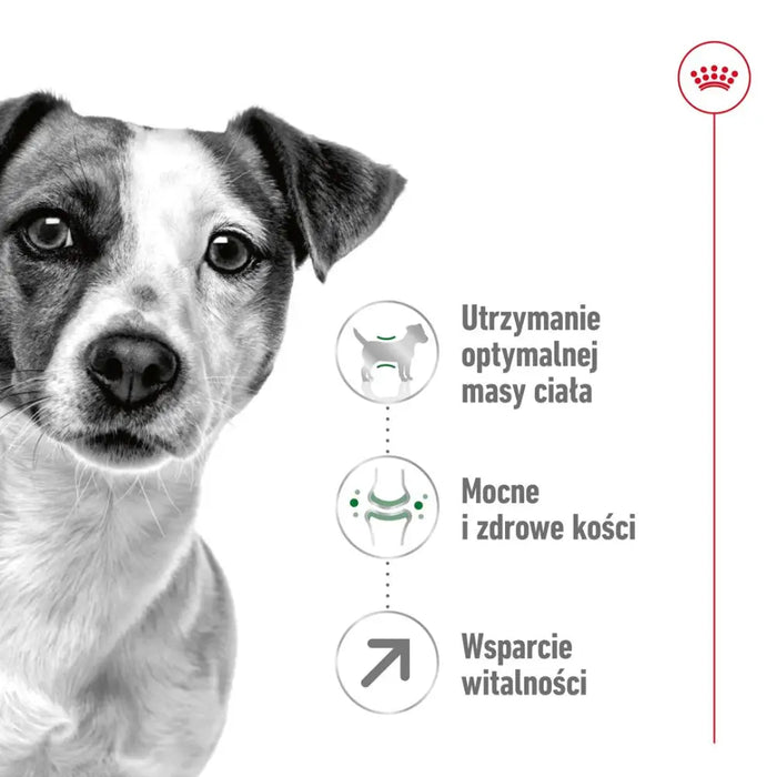 Royal Canin Mini Adult 8 + 8 kg Senior Домашни птици ориз