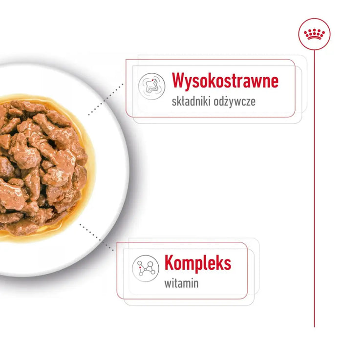 ROYAL CANIN Mini Adult - мокра храна за кучета - 12 х 85гр