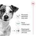 ROYAL CANIN Mini Ageing - мокра храна за кучета - 12 х 85гр