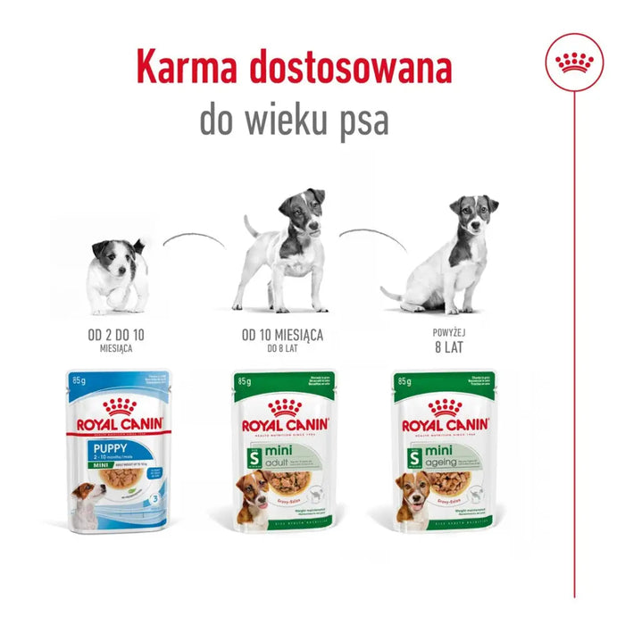 ROYAL CANIN Mini Ageing - мокра храна за кучета - 12 х 85гр