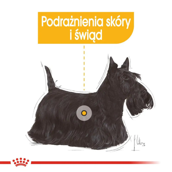 ROYAL CANIN Mini Dermacomfort - суха храна за възрастни