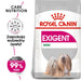 ROYAL CANIN Mini Exigent - суха храна за капризни кучета