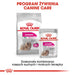 ROYAL CANIN Mini Exigent - суха храна за капризни кучета