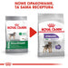 ROYAL CANIN Mini Sterilised - суха храна за възрастни