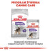ROYAL CANIN Mini Sterilised - суха храна за възрастни