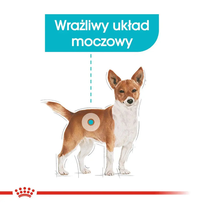 ROYAL CANIN Mini Urinary Care - суха храна за кучета - 1 кг