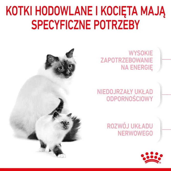 Royal Canin Mother & Babycat 34 суха котешка храна 0,4 кг