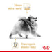 Royal Canin Pomeranian Adult суха храна за кучета 3 кг