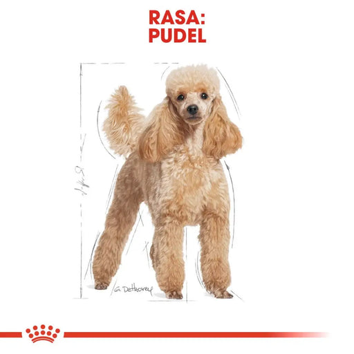 Royal Canin Poodle Adult 1,5 кг