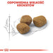 Royal Canin Regular Fit 32 суха храна за котки 400 g