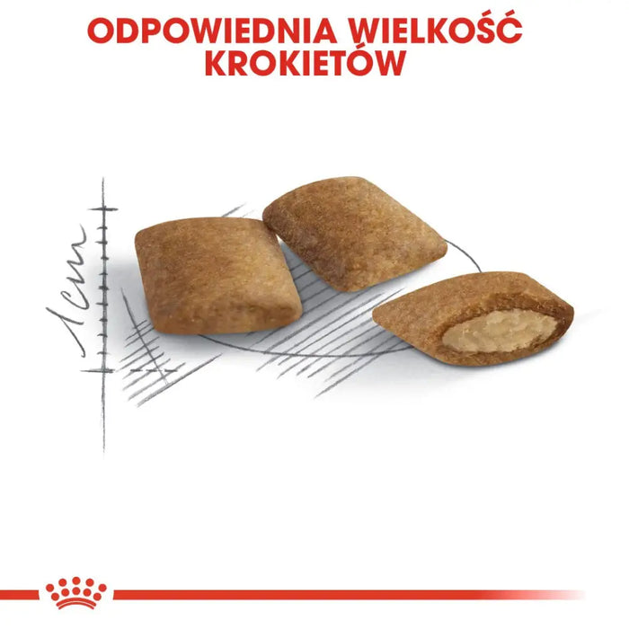 Royal Canin Senior Ageing 12 + Суха храна за котки Птици