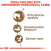 Royal Canin Senior Ageing 12 + суха храна за котки 2 кг